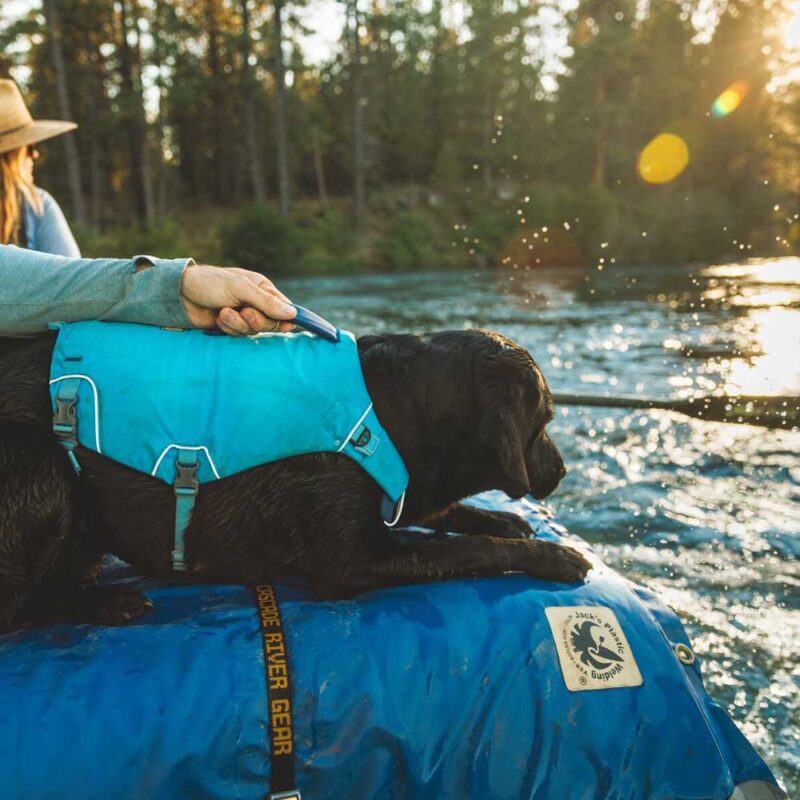Confluence Dog Life Jacket - Image 3