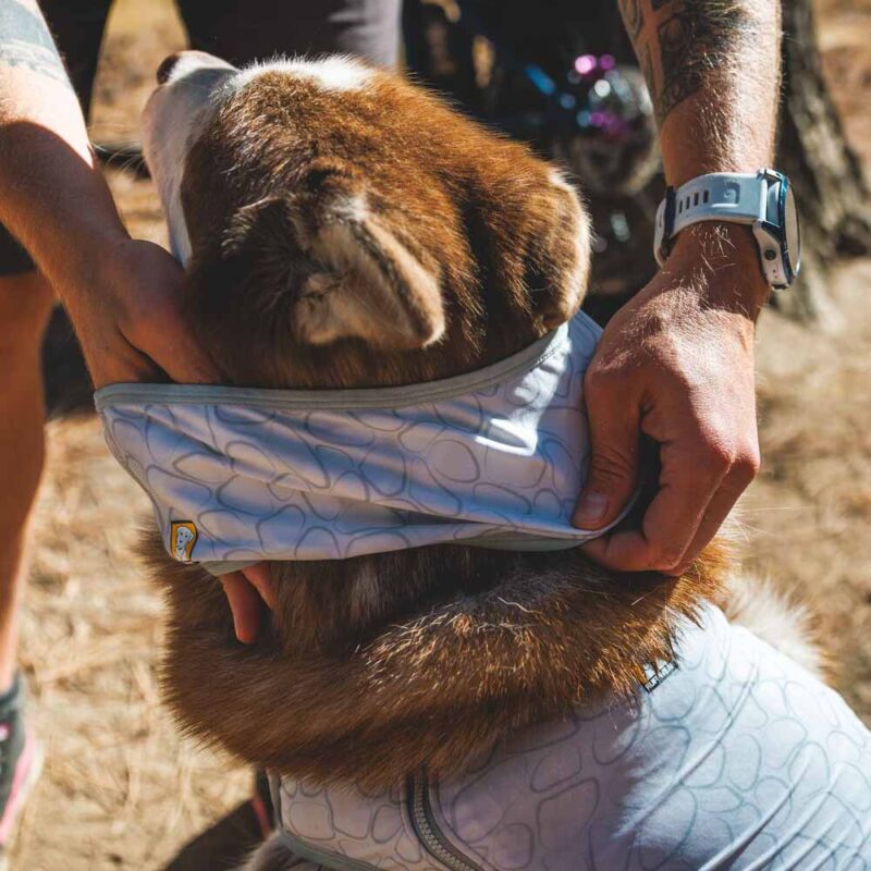 Swamp Cooler Dog Cooling Neck Gaiter - Image 3