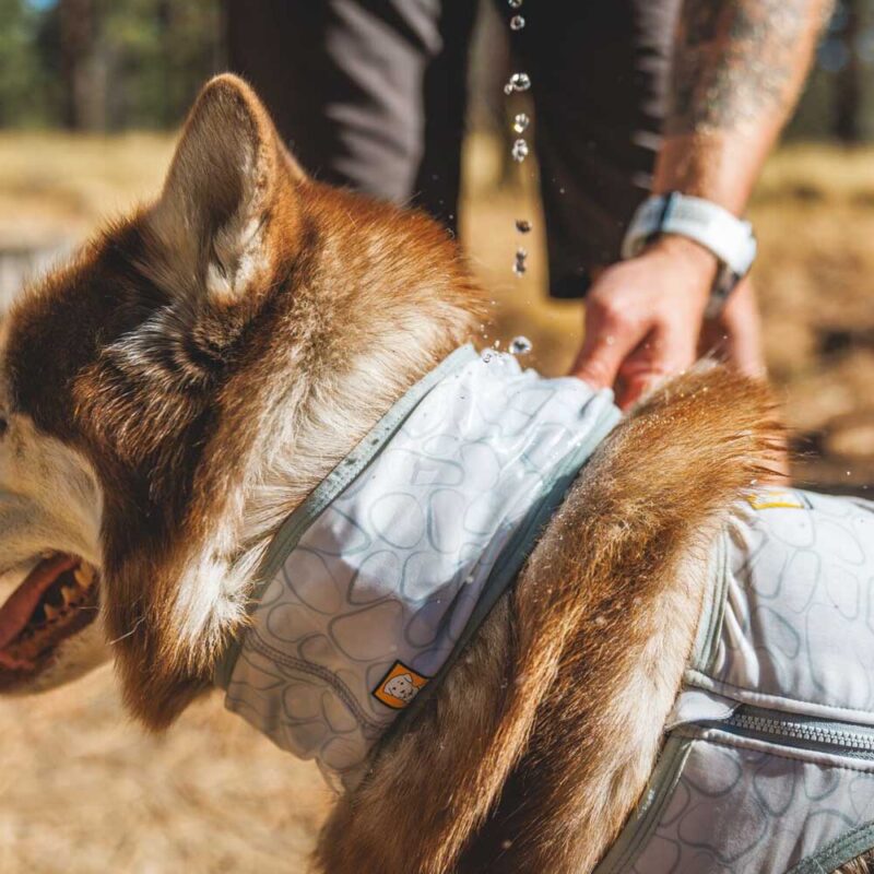 Swamp Cooler Dog Cooling Neck Gaiter - Image 4