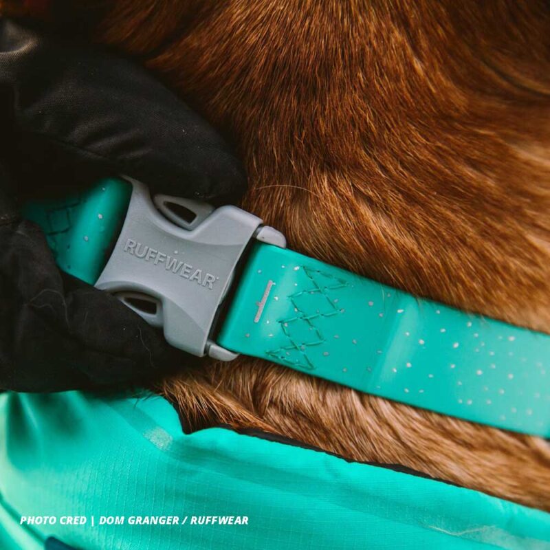 Confluence Waterproof Dog Collar - Image 5