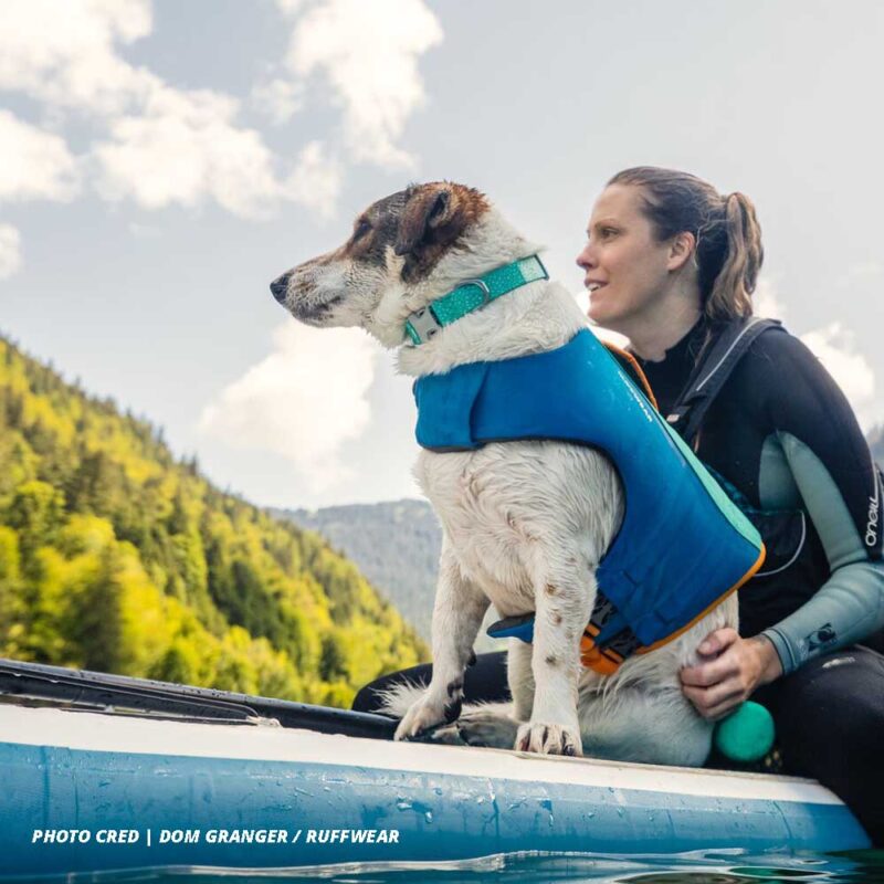 Confluence Waterproof Dog Collar - Image 6